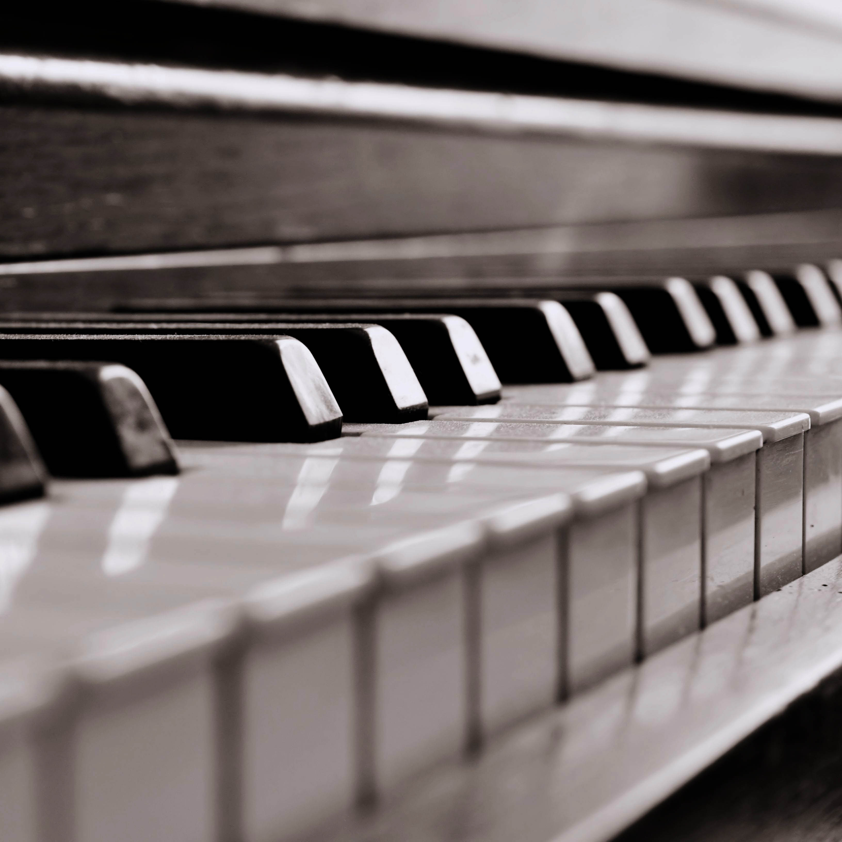 Piano Lessons in South Jersey