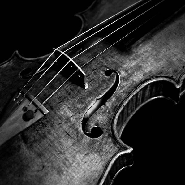 Violin Lessons in South Jersey